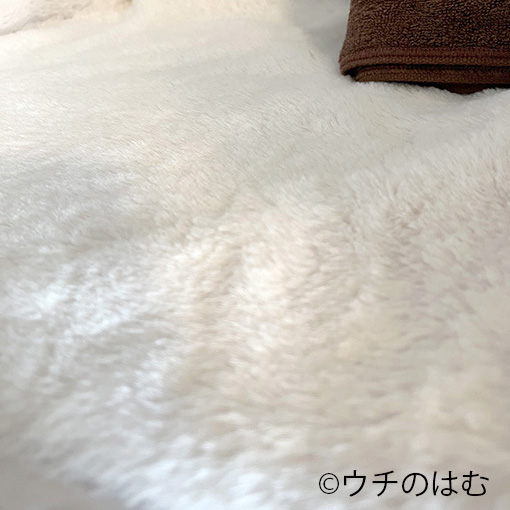 写真映えするラグ