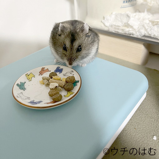 成長期の体重変化