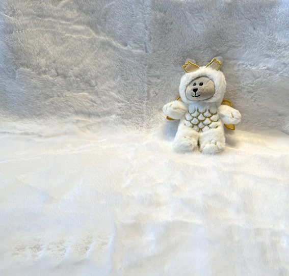 新年のご挨拶用撮影